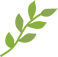 leaf-nature