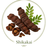 herbs-icons-shikakai-01